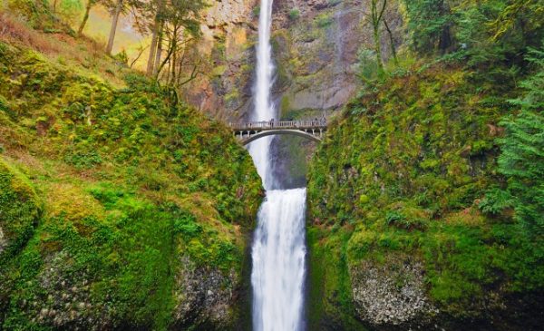 A waterfall that is falling 620 feet. Multnomah Falls is surrounded by a lush green forest and has a concrete bridge crossing the center.
