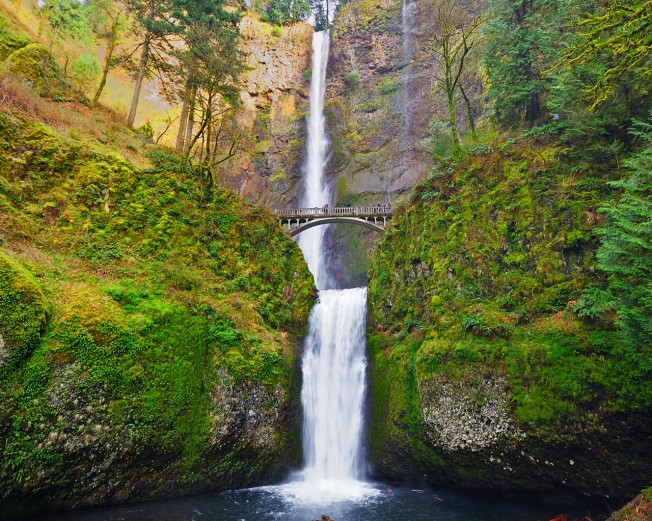 A waterfall that is falling 620 feet. Multnomah Falls is surrounded by a lush green forest and has a concrete bridge crossing the center.