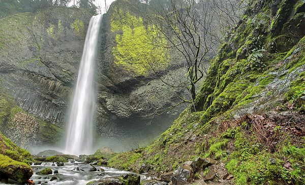 Latourell Falls drops 620 feet and is surrounded by columnar basalt that is covered with chartreuse colored lichen.