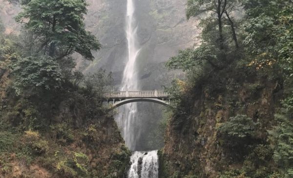 Fed by underground streams that originate miles above on Larch Mountain, this ancient 620 foot (189 m) waterfall is divided into two sections; the upper falls plummets an impressive 542 feet into a pool and again drops 69 feet to form a creek that runs into the Columbia River. Multnomah Falls is the second highest year-round waterfall in the United States and the highest in Oregon.