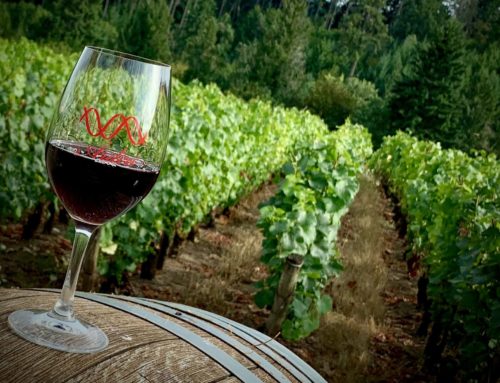 Oregon Wine Tasting Tour