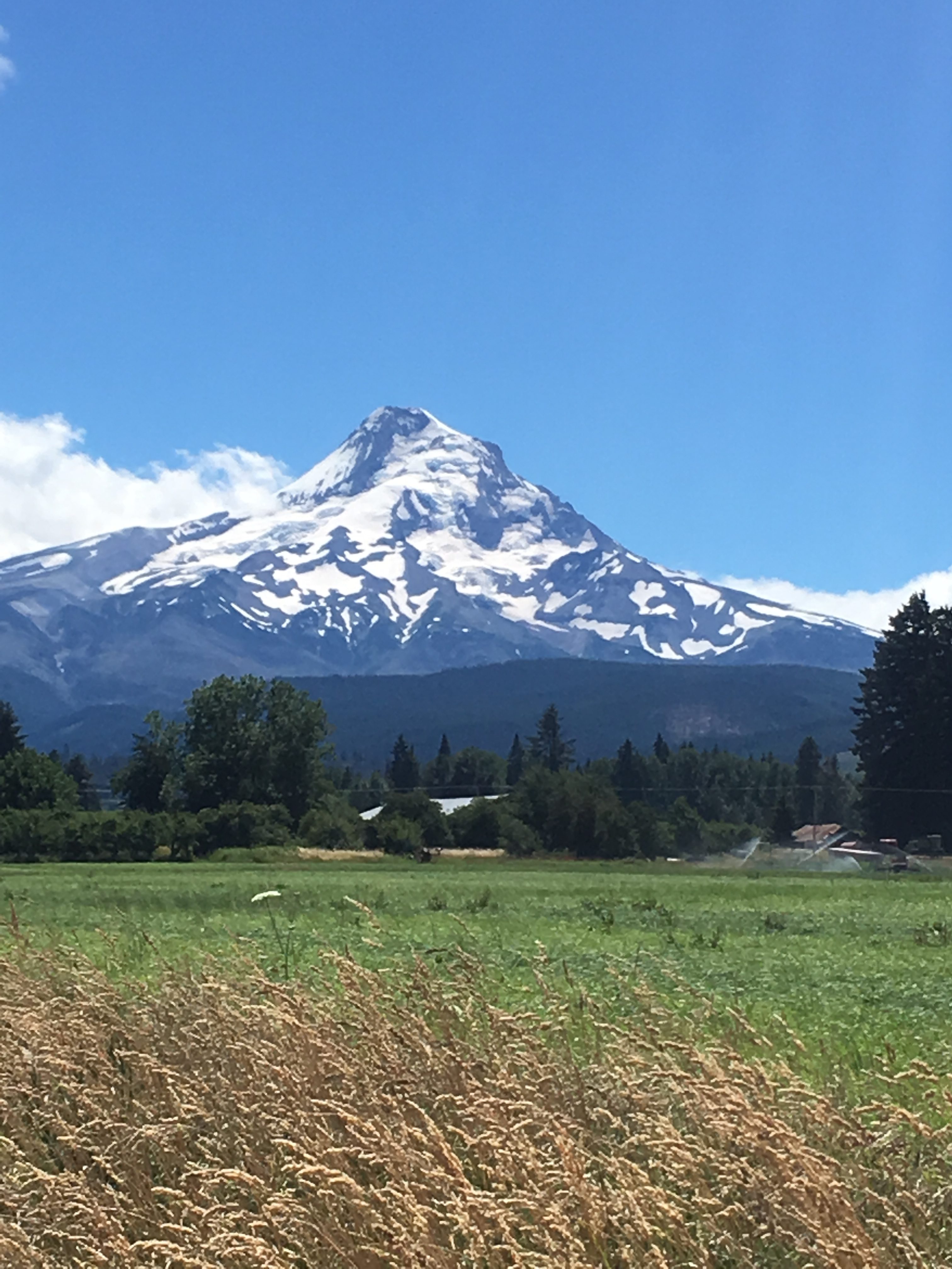 oregon tour experts