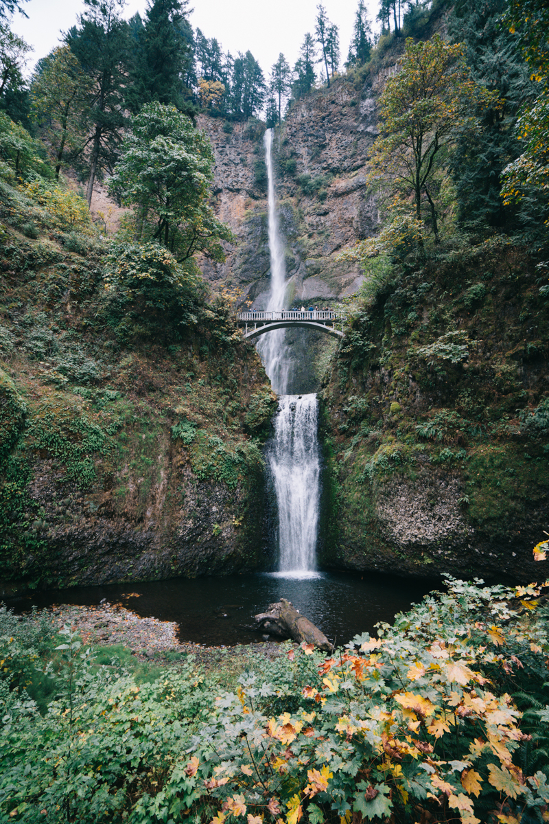 multnomah falls